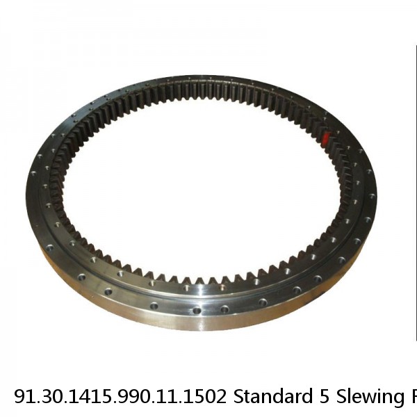 91.30.1415.990.11.1502 Standard 5 Slewing Ring Bearings
