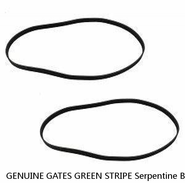 GENUINE GATES GREEN STRIPE Serpentine Belt Gates K080605
