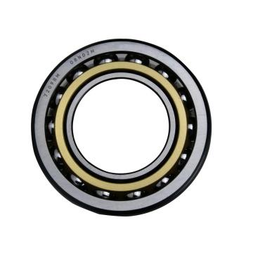 SKF 6203-2RS Ball Bearings 6202-2RS 6204-2RS 6205-2RS 6206-2RS C3