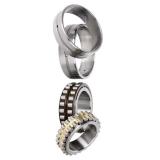 Skatergear Longest Spin 608RS Skateboard Bearings with Gold Titanium