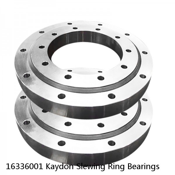16336001 Kaydon Slewing Ring Bearings #1 small image