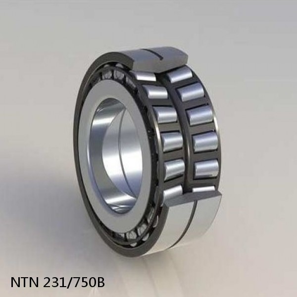 231/750B NTN Spherical Roller Bearings #1 small image