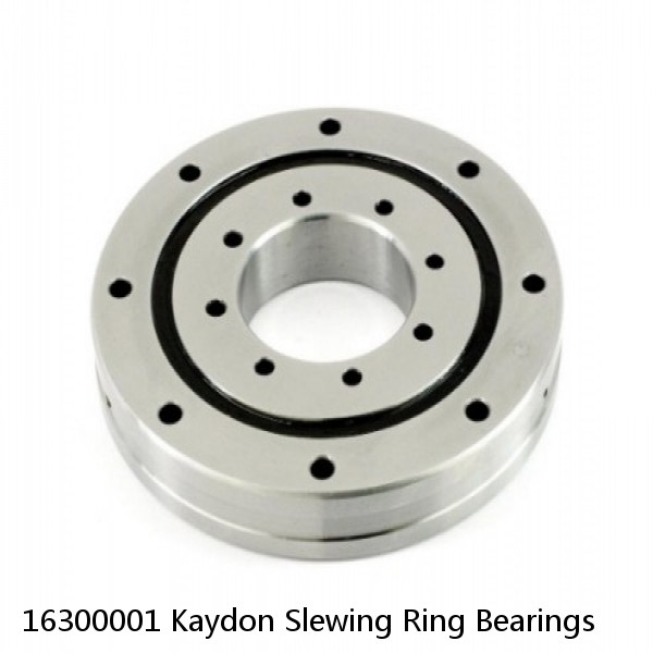 16300001 Kaydon Slewing Ring Bearings #1 small image