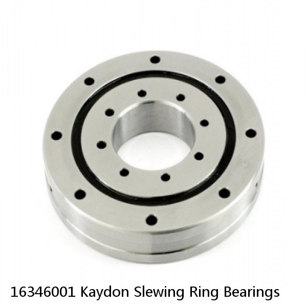 16346001 Kaydon Slewing Ring Bearings #1 small image