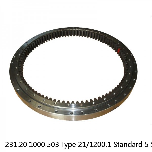 231.20.1000.503 Type 21/1200.1 Standard 5 Slewing Ring Bearings #1 small image