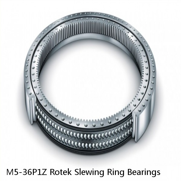 M5-36P1Z Rotek Slewing Ring Bearings #1 small image