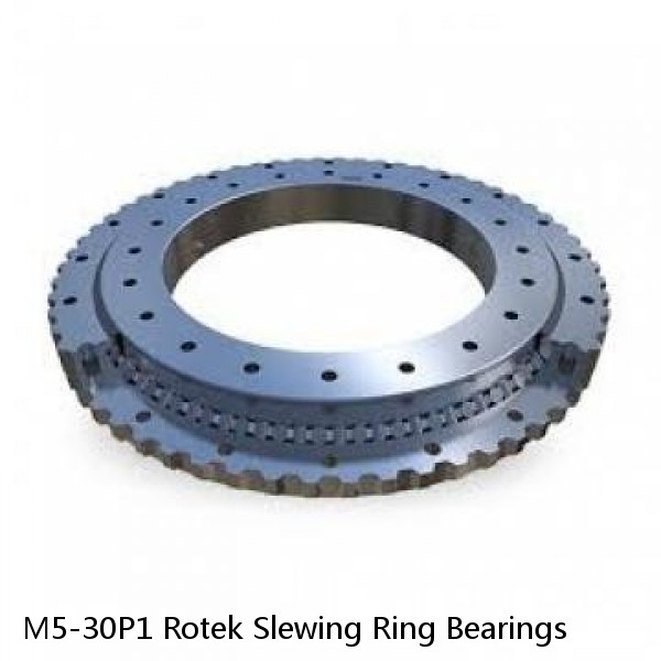 M5-30P1 Rotek Slewing Ring Bearings
