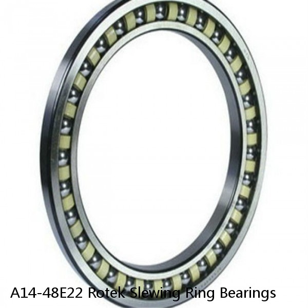 A14-48E22 Rotek Slewing Ring Bearings #1 small image