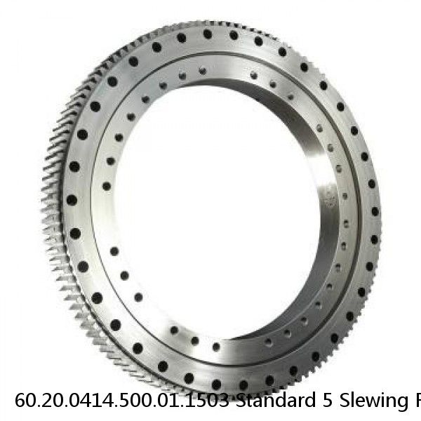 60.20.0414.500.01.1503 Standard 5 Slewing Ring Bearings