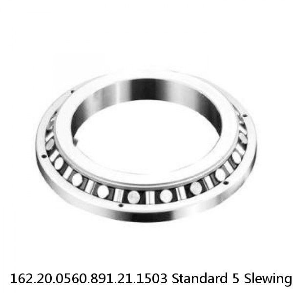 162.20.0560.891.21.1503 Standard 5 Slewing Ring Bearings #1 small image