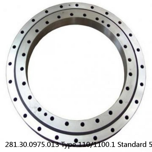 281.30.0975.013 Type 110/1100.1 Standard 5 Slewing Ring Bearings