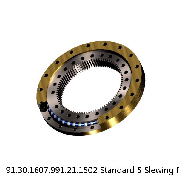 91.30.1607.991.21.1502 Standard 5 Slewing Ring Bearings #1 small image