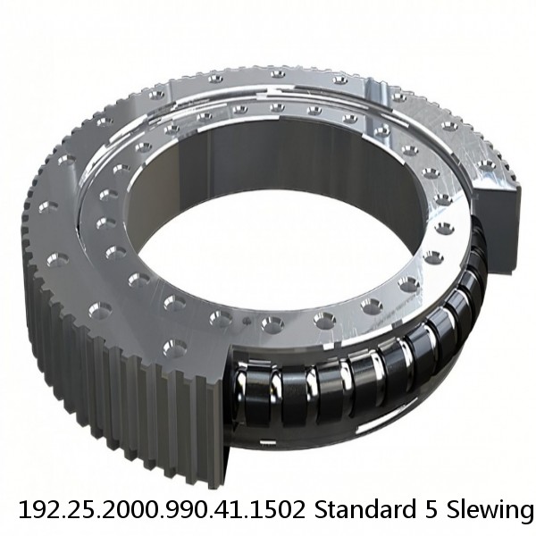 192.25.2000.990.41.1502 Standard 5 Slewing Ring Bearings #1 small image