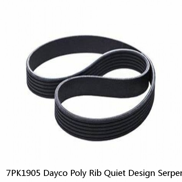 7PK1905 Dayco Poly Rib Quiet Design Serpentine Belt Free Shipping Free Returns