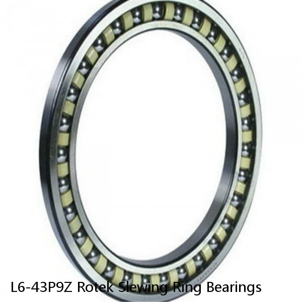 L6-43P9Z Rotek Slewing Ring Bearings #1 image