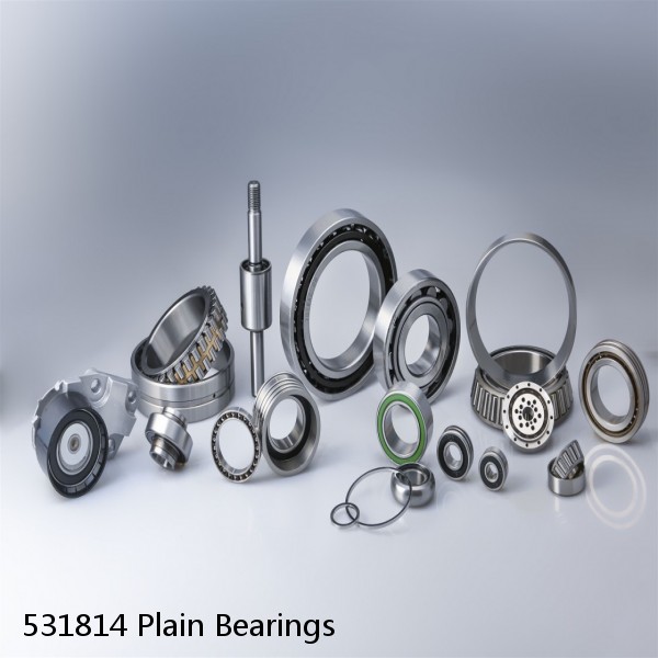 531814 Plain Bearings #1 image