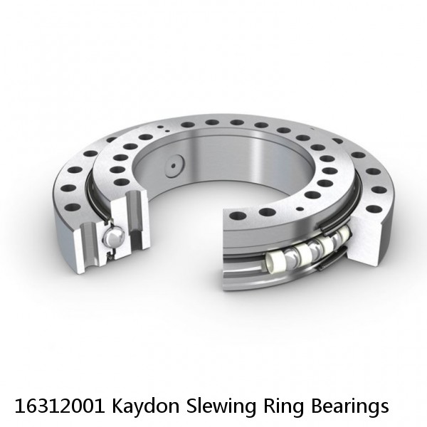 16312001 Kaydon Slewing Ring Bearings #1 image