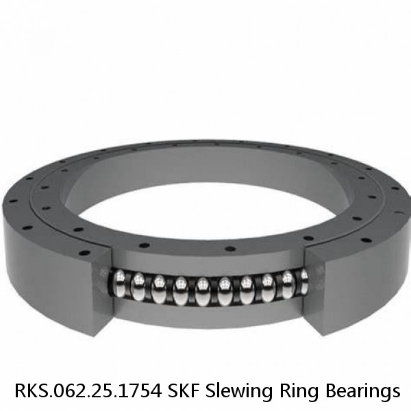 RKS.062.25.1754 SKF Slewing Ring Bearings #1 image