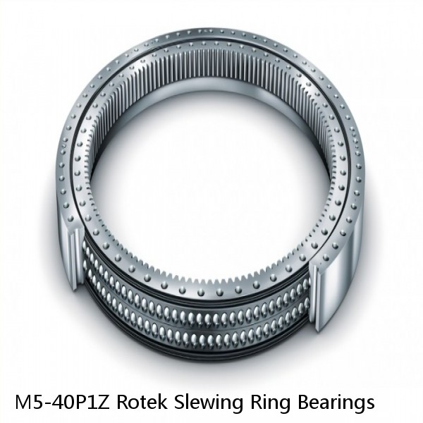 M5-40P1Z Rotek Slewing Ring Bearings #1 image