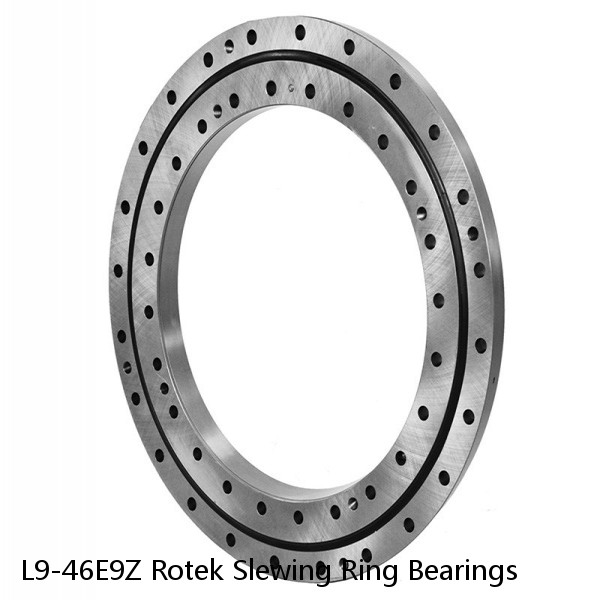 L9-46E9Z Rotek Slewing Ring Bearings #1 image