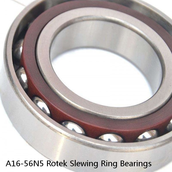 A16-56N5 Rotek Slewing Ring Bearings #1 image