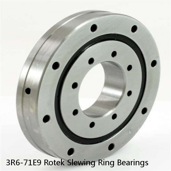 3R6-71E9 Rotek Slewing Ring Bearings #1 image