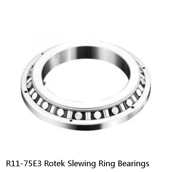 R11-75E3 Rotek Slewing Ring Bearings #1 image