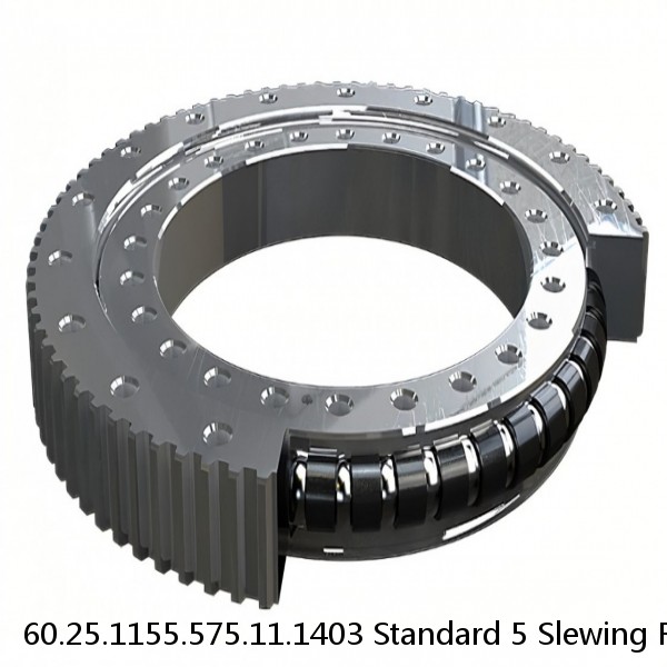 60.25.1155.575.11.1403 Standard 5 Slewing Ring Bearings #1 image