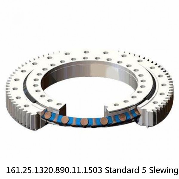 161.25.1320.890.11.1503 Standard 5 Slewing Ring Bearings #1 image