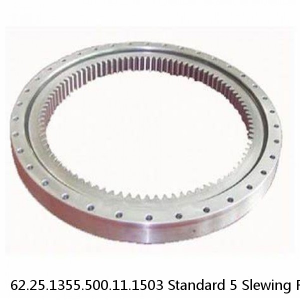 62.25.1355.500.11.1503 Standard 5 Slewing Ring Bearings #1 image