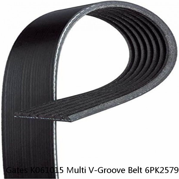 Gates K061015 Multi V-Groove Belt 6PK2579 13/16" x 102 1/8", 20mm x 2593mm Belt #1 image