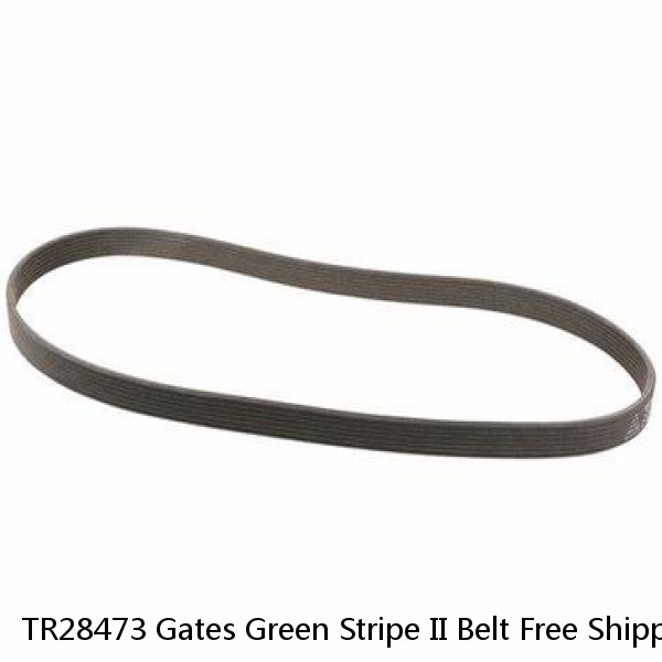 TR28473 Gates Green Stripe II Belt Free Shipping Free Returns 20A1200 #1 image