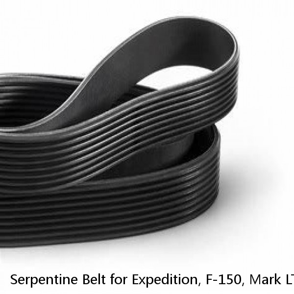 Serpentine Belt for Expedition, F-150, Mark LT, Navigator Dayco Poly rib 5061030 #1 image