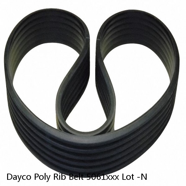 Dayco Poly Rib Belt 5061xxx Lot -N #1 image