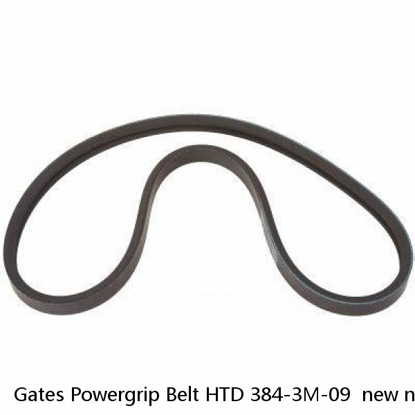 Gates Powergrip Belt HTD 384-3M-09  new no box #1 image