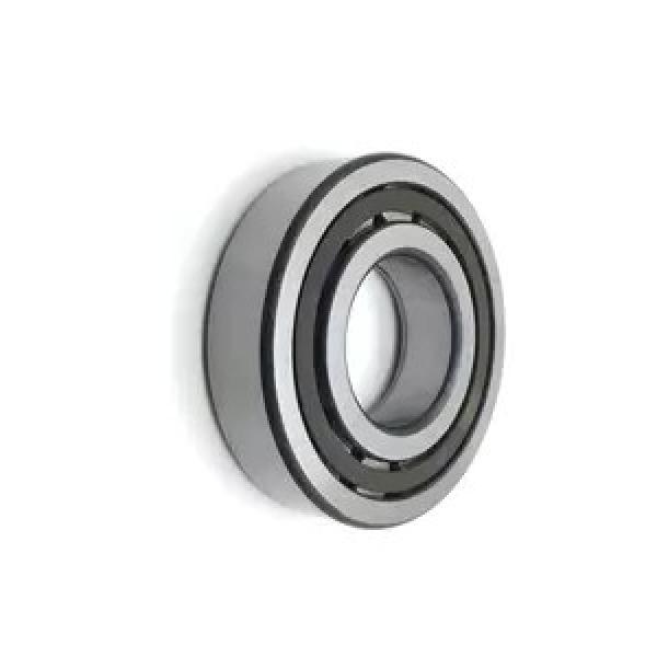 Cylindrical Roller Bearing (NU 309 ECP) #1 image